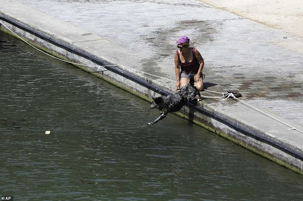 Châu Âu vật vã trong đợt nắng kỷ lục, Pháp sốc với 45,9 độ C - Ảnh 7.