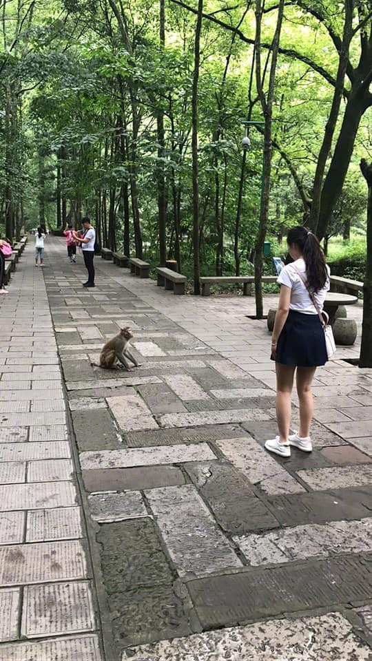 Cô gái bị khỷ lao đến tấn công vì đứng chụp ảnh, gương mặt thể hiện rõ sự kinh hoàng - Ảnh 1.