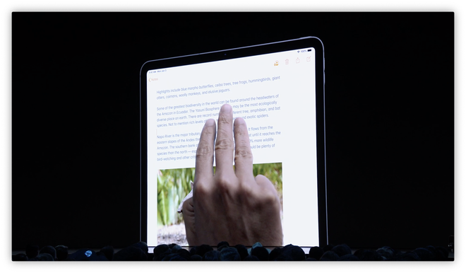 Apple ra mắt iPadOS dành riêng cho iPad: Giao diện màn hình chính mới, hỗ trợ ổ cứng USB, download tập tin bằng Safari, đa nhiệm tốt hơn - Ảnh 4.
