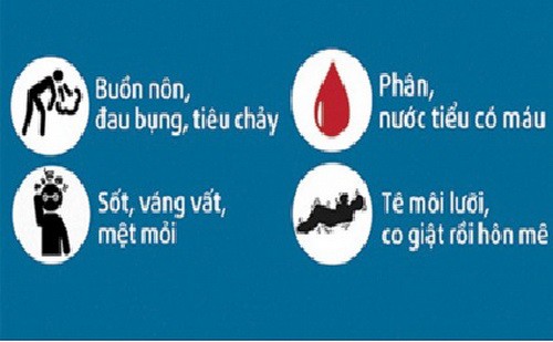 Bài thuốc kinh nghiệm trị ngộ độc thức ăn - Ảnh 1.