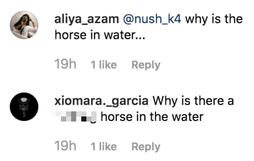 Chỉ chụp ảnh cưỡi ngựa dưới biển, ngôi sao Instagram tự dưng bị dân mạng khẩu nghiệp đồng loạt - Ảnh 2.