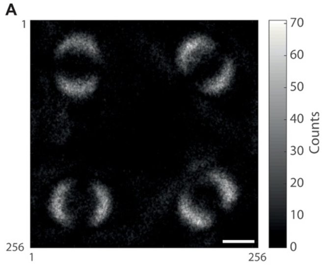 Bức ảnh đầu tiên chụp được hiện tượng vướng lượng tử, thứ Einstein từng gọi là tác động ma quái - Ảnh 3.