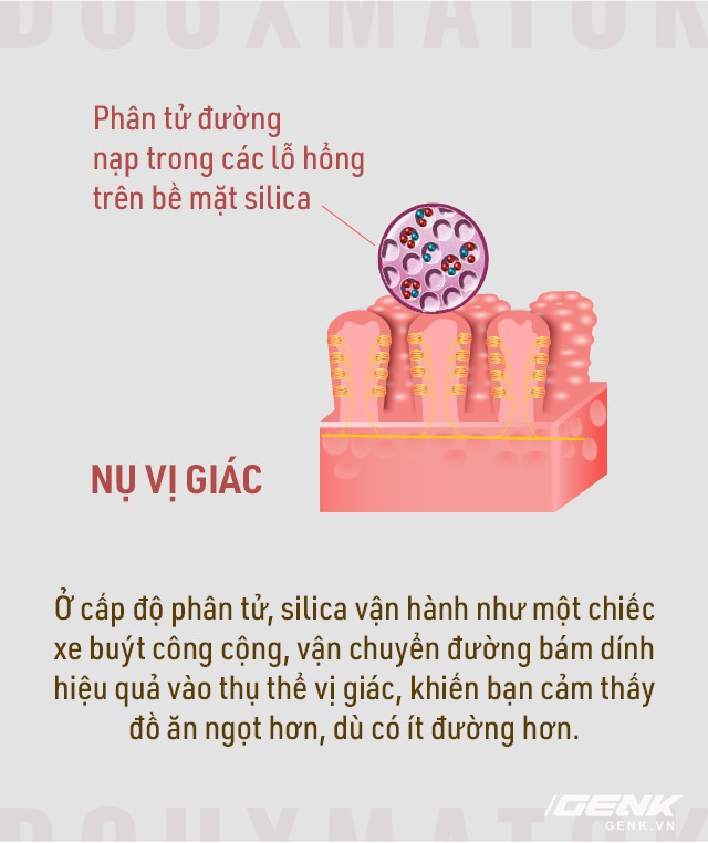 Với cát và đường: Một start-up ở Israel đang phát minh lại thứ ngọt ngào nhất đối với con người - Ảnh 5.