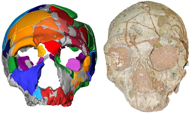 Phát hiện hóa thạch của nhóm người tiền sử đầu tiên rời khỏi Châu Phi - Ảnh 3.