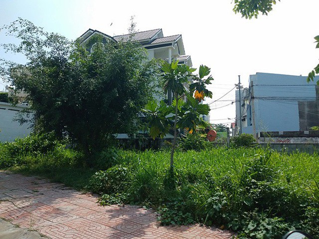 Thu hồi dự án khu nhà ở Phước Long B do ông Lê Tấn Hùng chuyển nhượng sai - Ảnh 8.
