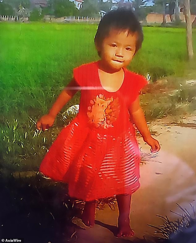 Mẹ sao nhãng, bé gái 2 tuổi một mình dạo chơi quanh nhà rồi rơi xuống hồ nuôi cá sấu - Ảnh 1.