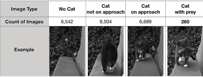 Chán cảnh mèo tha động vật chết về nhà, kỹ sư Amazon chế cửa mèo chui điều khiển bằng... AI - Ảnh 3.