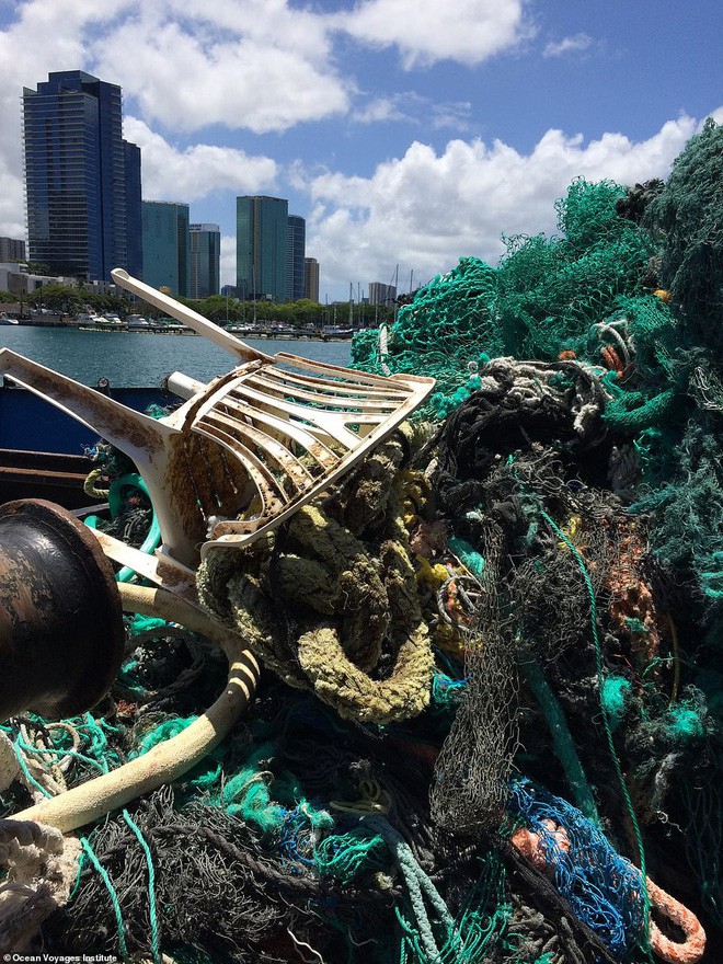 Trục vớt được hàng tấn loại rác kinh khủng hơn cả túi nhựa và ống hút, gây ám ảnh đại dương trong suốt thời gian dài - Ảnh 5.