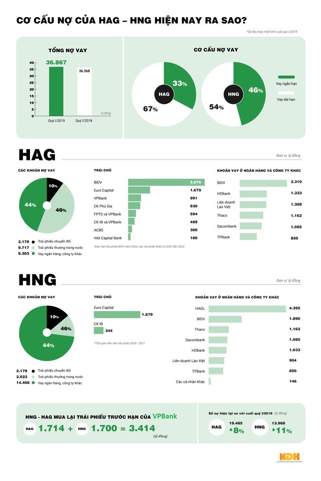 [Infographic] Cơ cấu nợ của HAG - HNG hiện nay ra sao? - Ảnh 1.