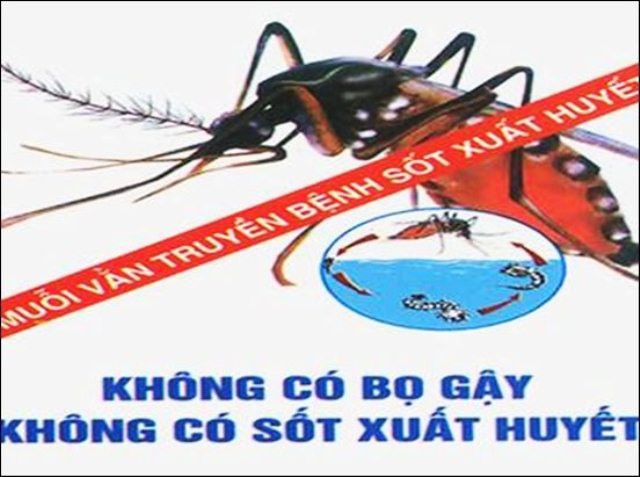 Sốt xuất huyết tăng mạnh, bác sĩ chỉ rõ dấu hiệu cần chú ý tránh tử vong - Ảnh 2.