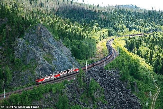 Bị ruồng bỏ, chú chó trung thành vừa đi vừa khóc 200km tìm về nhà cũ - Ảnh 2.