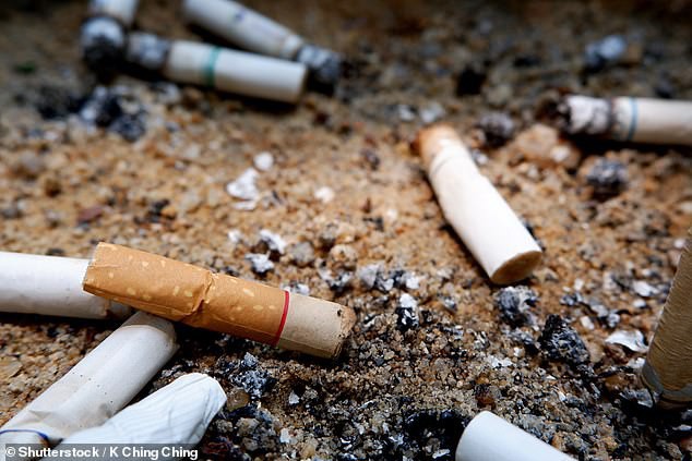 Cây cỏ trên thế giới đang chết dần chết mòn vì 4,5 NGHÌN TỈ đầu lọc thuốc lá xuất hiện mỗi năm - Ảnh 2.