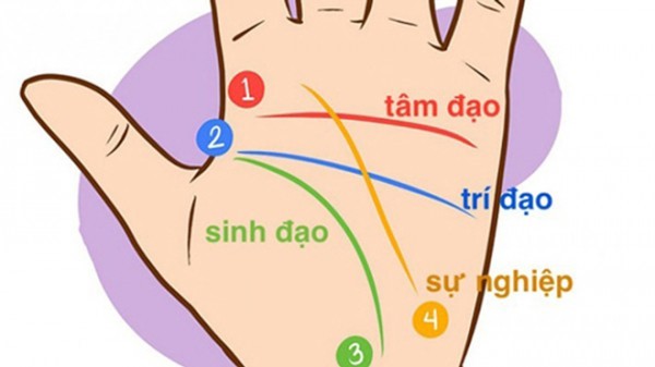 Phụ nữ sở hữu 1 trong 7 dấu hiệu tướng tay này là người giàu sang, tài vận hanh thông - Ảnh 4.