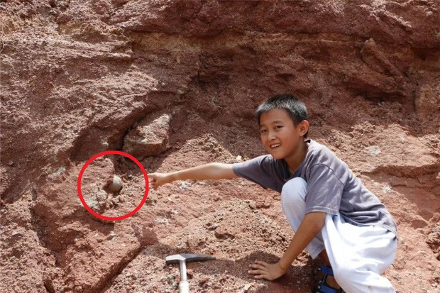 Đang đi chơi tung tăng bên bờ sông, cậu bé 9 tuổi phát hiện ra trứng khủng long 600 triệu năm khiến cả MXH phải trầm trồ - Ảnh 1.