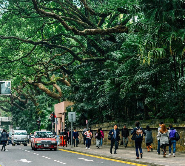 Bất ngờ chưa? Ở Hong Kong có 3 con đường mang tên Hà Nội, Sài Gòn và Hải Phòng này! - Ảnh 8.