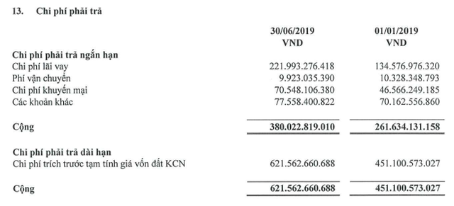 Hòa Phát đã rót gần 43.000 tỷ vào Dung Quất, mảng nông nghiệp, bất động sản tăng 50% doanh thu - Ảnh 4.