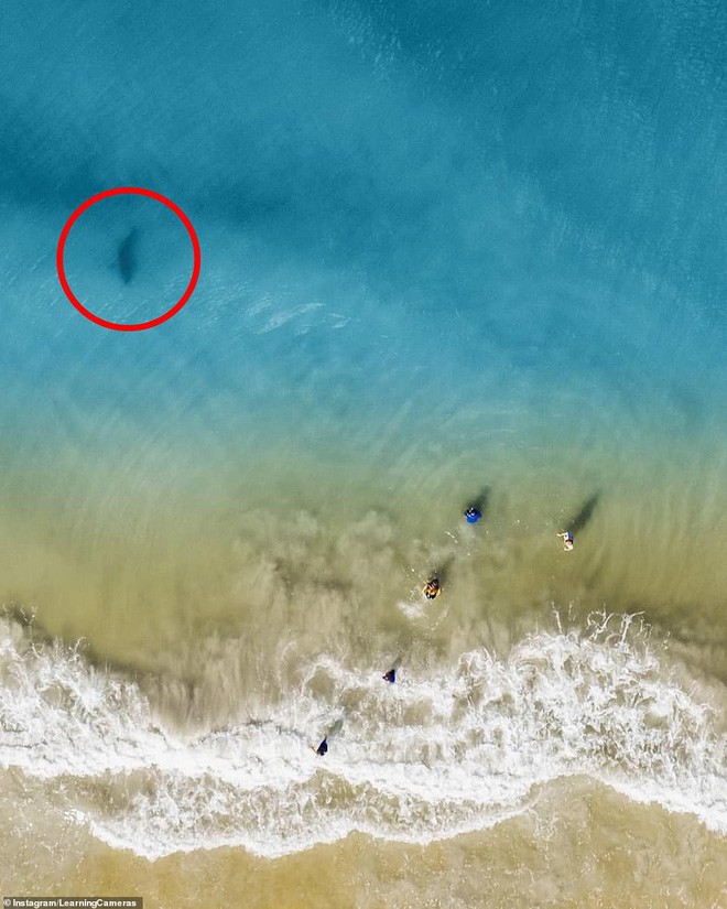 Chụp ảnh drone trên biển, ông bố phát hiện mối hiểm họa chỉ cách vài mét và bắt các con chạy lên bờ ngay lập tức - Ảnh 1.
