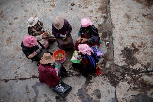 Cận cảnh cuộc săn lùng đông trùng hạ thảo giữa cơn sốt lên núi đãi vàng - Ảnh 17.