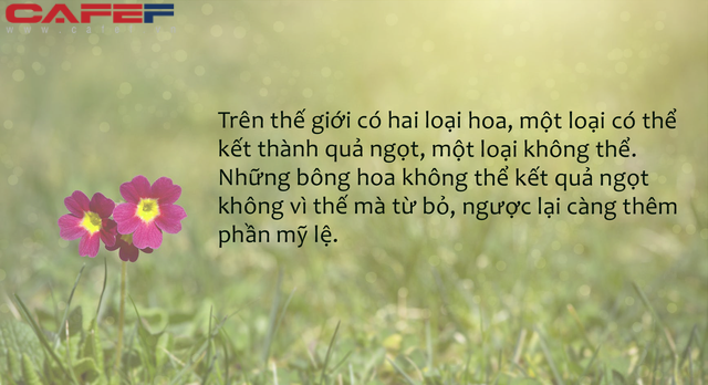 Bông hoa không kết thành quả ngọt mới là bông hoa đẹp nhất: Thành quả cũng chỉ là một phần, quan trọng ta có hạnh phúc hay không - Ảnh 1.