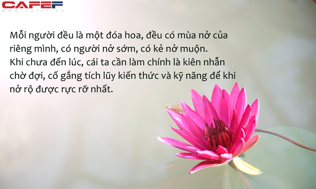 Bông hoa không kết thành quả ngọt mới là bông hoa đẹp nhất: Thành quả cũng chỉ là một phần, quan trọng ta có hạnh phúc hay không - Ảnh 3.