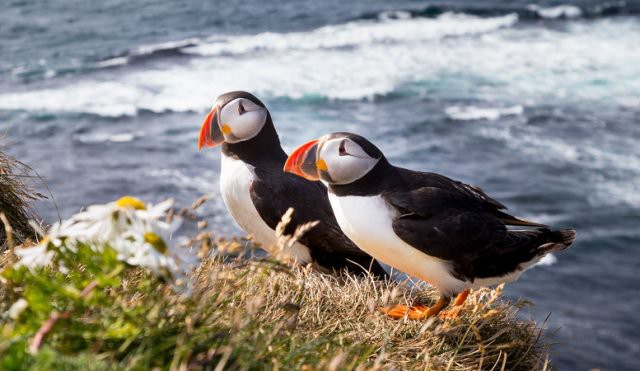 Sự thật về những lời đồn đoán kì bí xoay quanh ngôi nhà cô quạnh nhất thế giới ở Iceland - Ảnh 4.