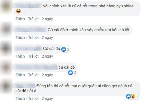 Tranh cãi nảy lửa: Tên gọi khác của cà rốt là... củ cải đỏ, câu trả lời ai đúng ai sai!? - Ảnh 3.