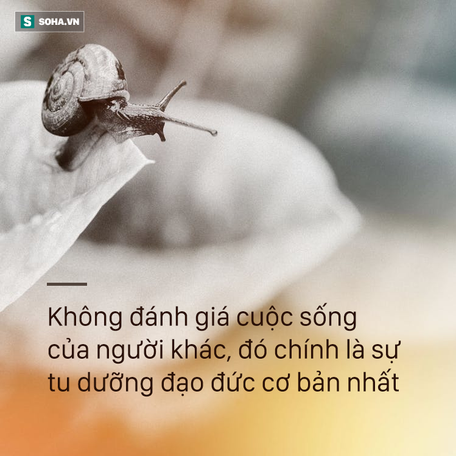 Chuyện của sói hoang và chó nhà: Người thích huênh hoang khoe mẽ đọc xong sẽ phải câm nín - Ảnh 1.