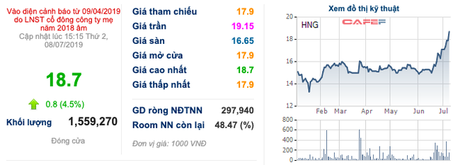 Liên tục cùng nhau phá đỉnh, HAGL muốn bán ra 60 triệu cổ phiếu HAGL Agrico - Ảnh 1.