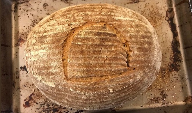 Tìm được loại men ủ hơn 4500 năm, nhà khoa học thử chế biến và thành công với món bánh mì nướng thơm ngon lạ lùng - Ảnh 6.