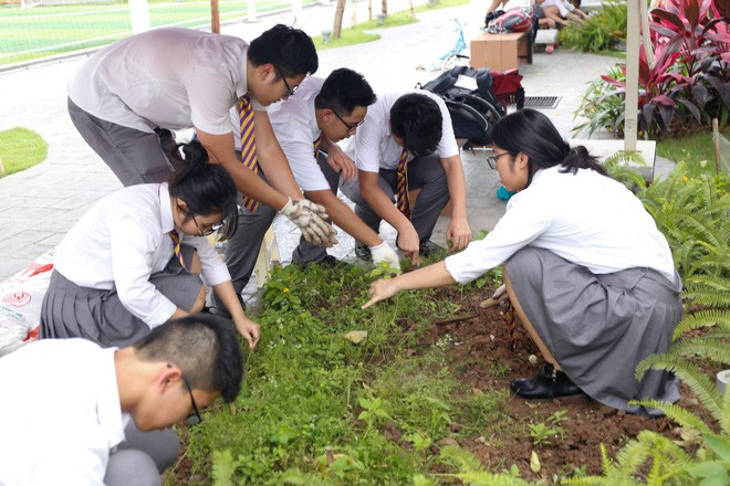 Ở Hà Nội có một ngôi trường không bao giờ thả bóng bay ngày khai giảng, học sinh có hàng loạt dự án biến chai nhựa thành gạch xây trường - Ảnh 19.