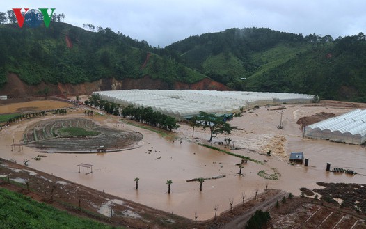 Tây Nguyên: 10 năm thiên tai và nhân họa - Ảnh 6.