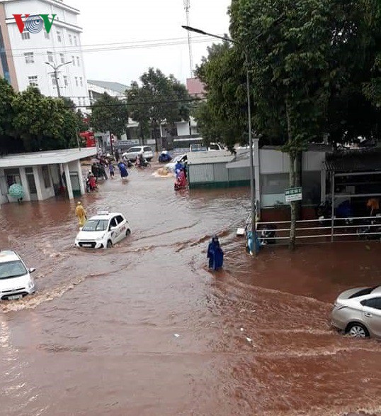 Tây Nguyên: 10 năm thiên tai và nhân họa - Ảnh 8.