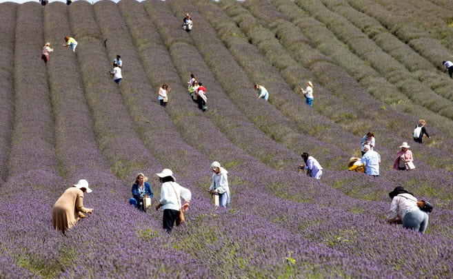 24h qua ảnh: Hành khách mắc kẹt giữa đám đông biểu tình ở Hong Kong - Ảnh 10.