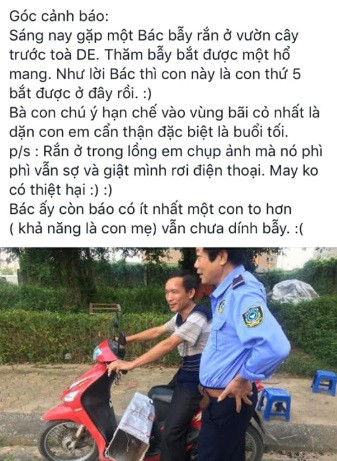 Dân phản ánh rắn hổ mang phi thân ra mổ người đi xe máy tại khu chung cư ở Hà Đông - Ảnh 5.