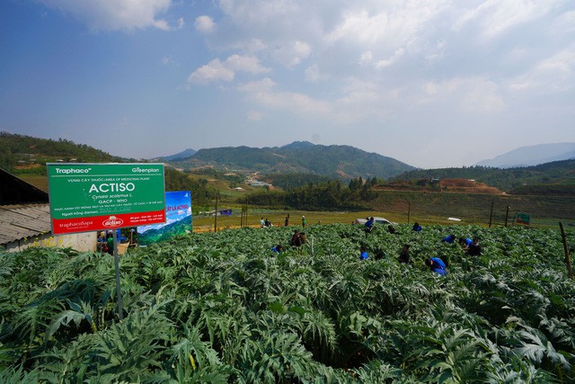 Thuốc giải độc gan: Dễ tìm nhưng tìm sản phẩm chất lượng chuẩn chưa chắc dễ - Ảnh 3.