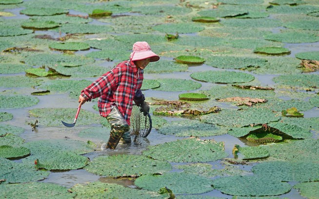 24h qua ảnh: Người dân Trung Quốc đổ xô tới công viên nước tránh nóng - Ảnh 4.