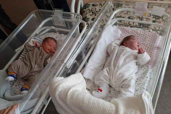 Hai em bé song sinh chào đời cách nhau… 2 tháng rưỡi: 50 triệu ca mới có 1 - Ảnh 1.