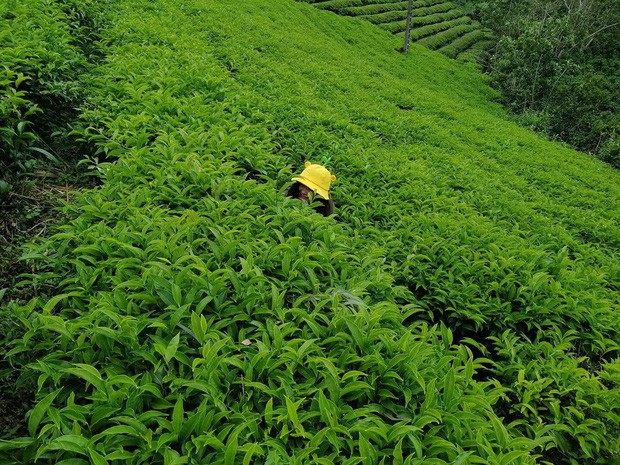 Chùm ảnh chứng minh sai lầm lớn nhất của hội sống ảo chính là: Người lạ ơi, xin chụp giúp tôi bức ảnh! - Ảnh 2.