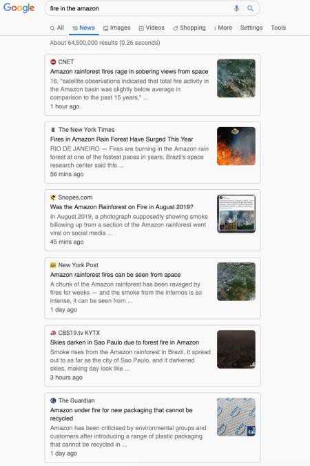 Search “cháy rừng Amazon” trên Google lại ra máy tính bảng, dân tình được thể kịch liệt phẫn nộ - Ảnh 3.