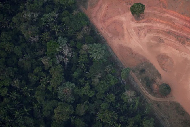 Cái kết của một hành tinh nếu rừng Amazon biến mất: Đừng nói cứu thế giới, bạn đang tự cứu chính mình mà thôi! - Ảnh 1.