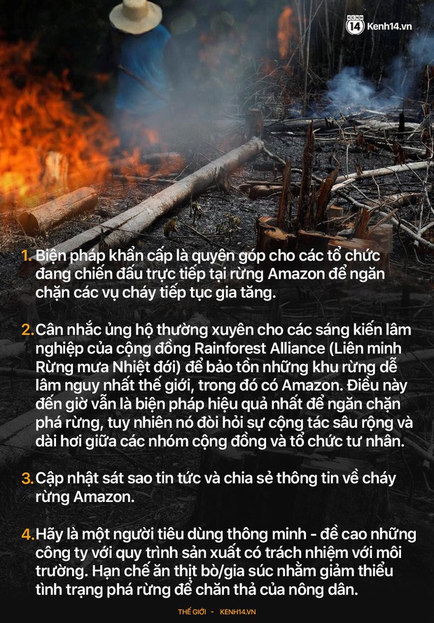 5 cách giải cứu rừng Amazon từ Quỹ Quốc tế Bảo vệ Thiên nhiên WWF: Hãy đọc ngay để biết bạn nên làm gì lúc này - Ảnh 8.