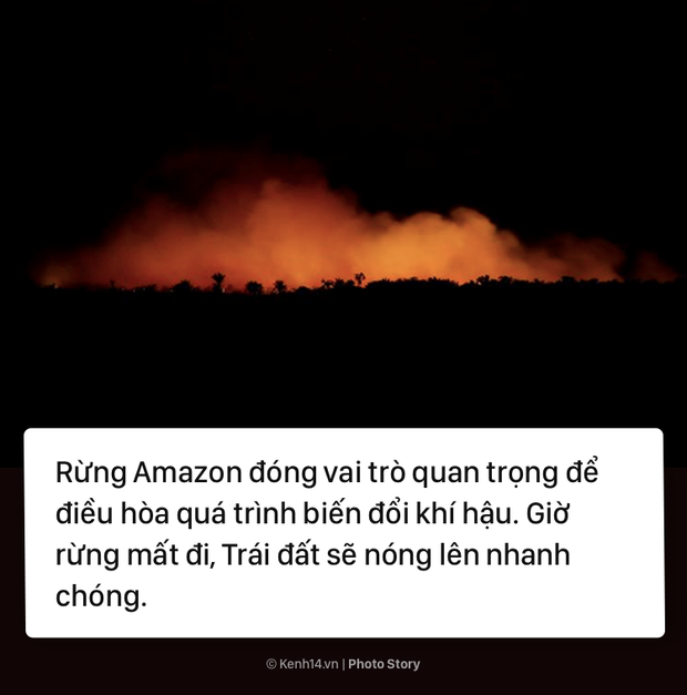 Toàn cảnh thảm hoạ cháy rừng Amazon khiến cả thế giới bàng hoàng - Ảnh 7.