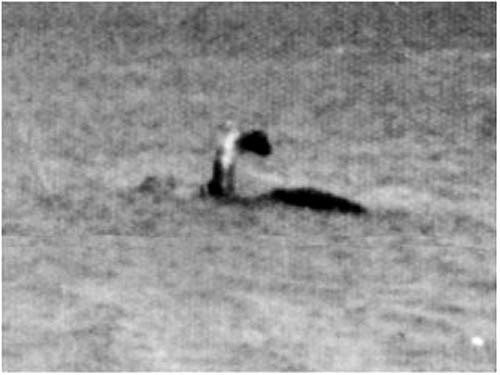 Phát hiện con cá kỳ lạ có 2 miệng xuất hiện tại hồ được đồn có thủy quái Champ - Ảnh 2.