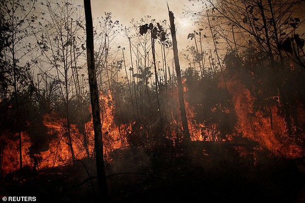 Dân bản địa Brazil gào khóc trước cảnh tượng rừng Amazon bốc cháy: Họ đang giết chết những dòng sông và nguồn sống của chúng tôi - Ảnh 4.