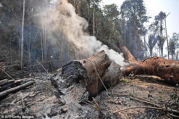 Dân bản địa Brazil gào khóc trước cảnh tượng rừng Amazon bốc cháy: Họ đang giết chết những dòng sông và nguồn sống của chúng tôi - Ảnh 6.