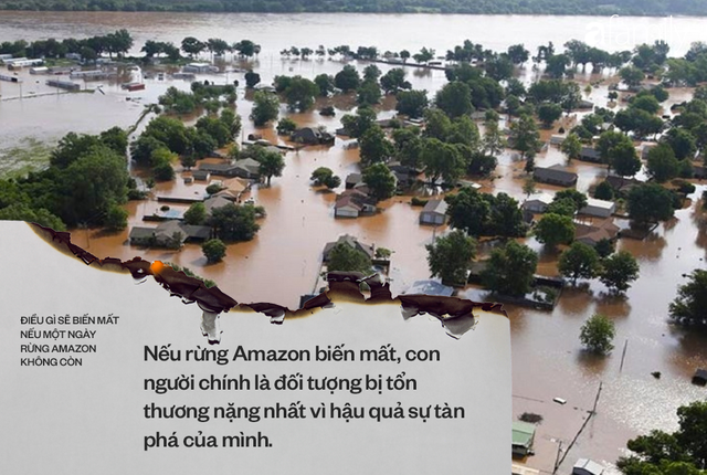 Nếu rừng Amazon biến mất, thế giới mất đi 20% lượng nước ngọt, 20% lượng oxy, con người chịu ảnh hưởng trực tiếp - Ảnh 6.