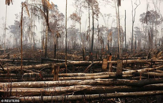 Dân bản địa Brazil gào khóc trước cảnh tượng rừng Amazon bốc cháy: Họ đang giết chết những dòng sông và nguồn sống của chúng tôi - Ảnh 7.