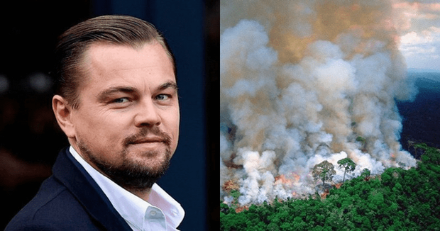 Sau Leonardo DiCaprio, CEO Apple tuyÃªn bá» sáº½ gÃ³p tiá»n khÃ´i phá»¥c vÃ  báº£o tá»n rá»«ng Amazon - áº¢nh 2.