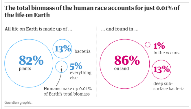 Con người chỉ chiếm 0,01% sự sống trên trái đất nhưng lại hủy diệt 83% các loài khác - Ảnh 3.