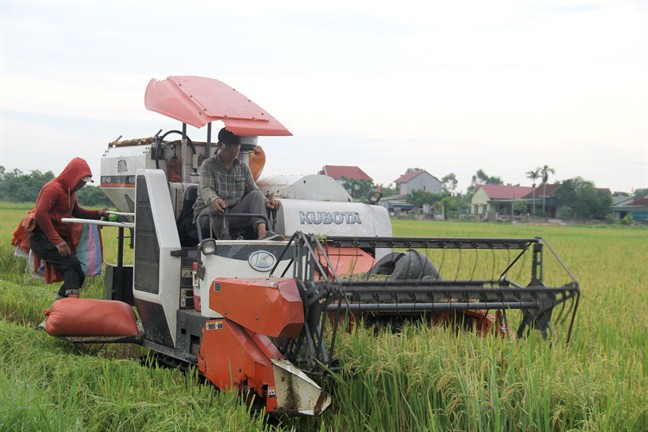 Nghe tin bão lớn sắp đổ bộ, người dân ven biển hối hả cất thuyền, tháo mái tôn tránh bão - Ảnh 14.